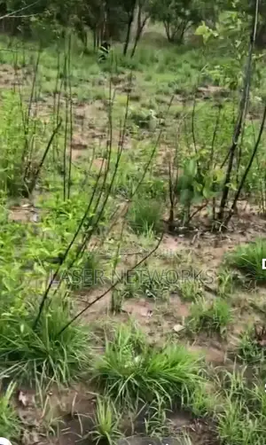5 Acres Farmland for Sale