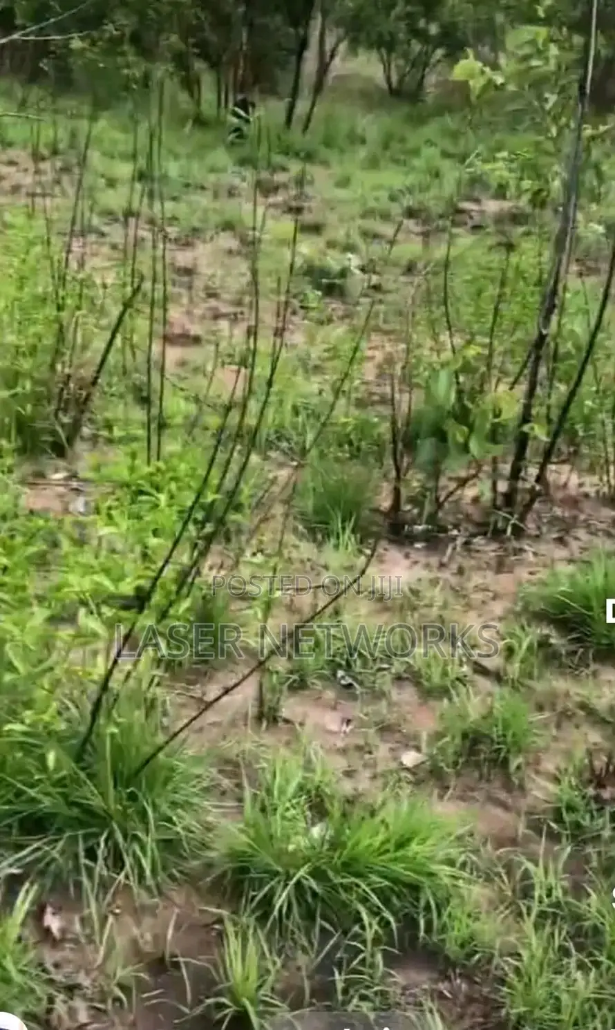 5 Acres Farmland for Sale