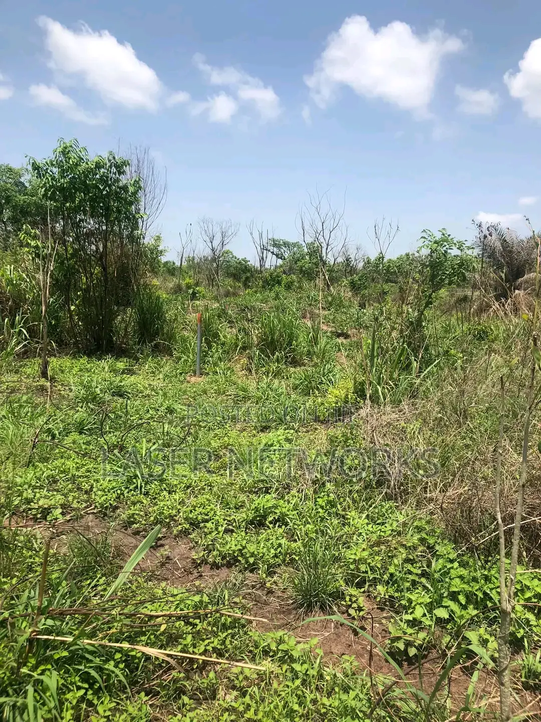 5 Acres Farmland for Sale