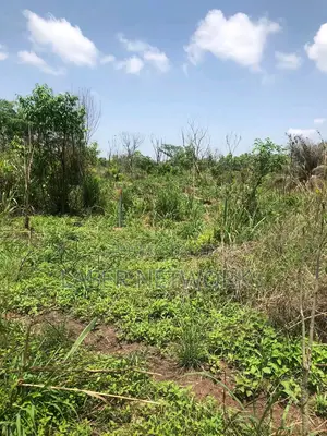5 Acres Farmland for Sale