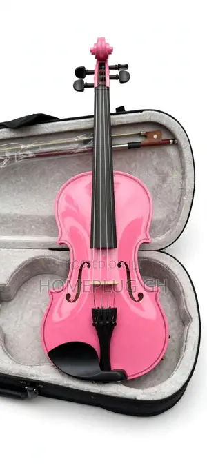 Pink Violin With Case