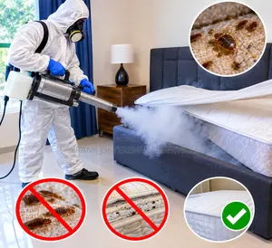 Bedbugs Fumigation