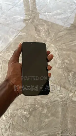 Apple iPhone 13 Pro Max 128 GB Gray