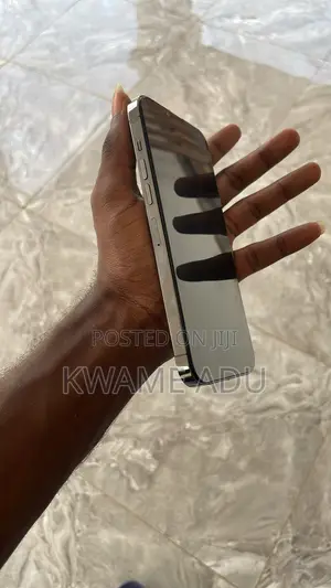 Apple iPhone 13 Pro Max 128 GB Gray