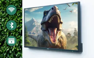 55”inches Waterproof Outdoor Television.
