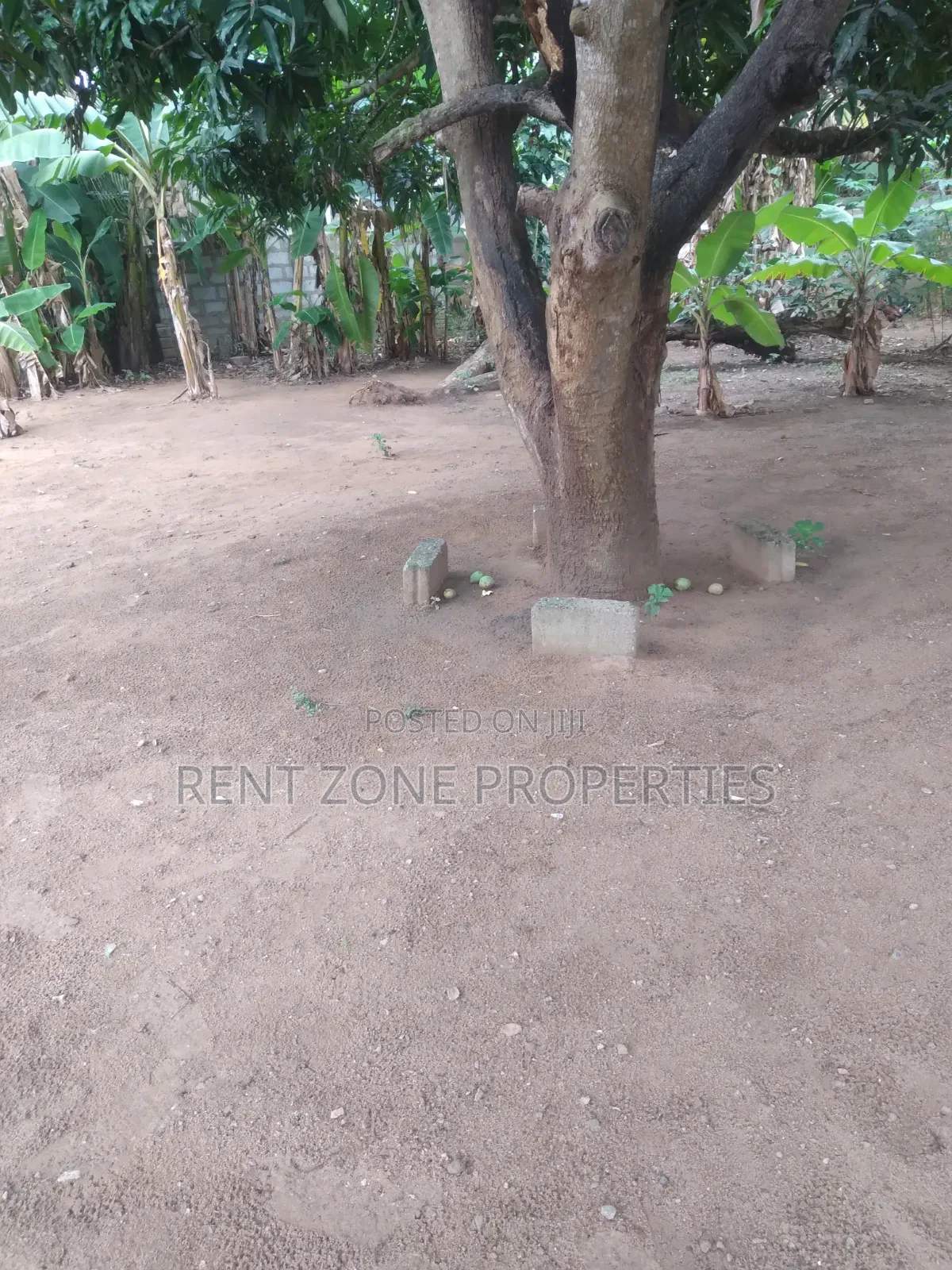 Service Land for Sale