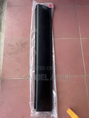 Mazda CX9 Door Moulding Front.