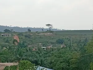 2 Plots of Registered Land 4 Sale