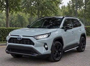 Toyota RAV4 2022 Gray