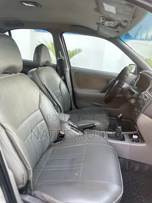 Nissan Primera 2009 Silver