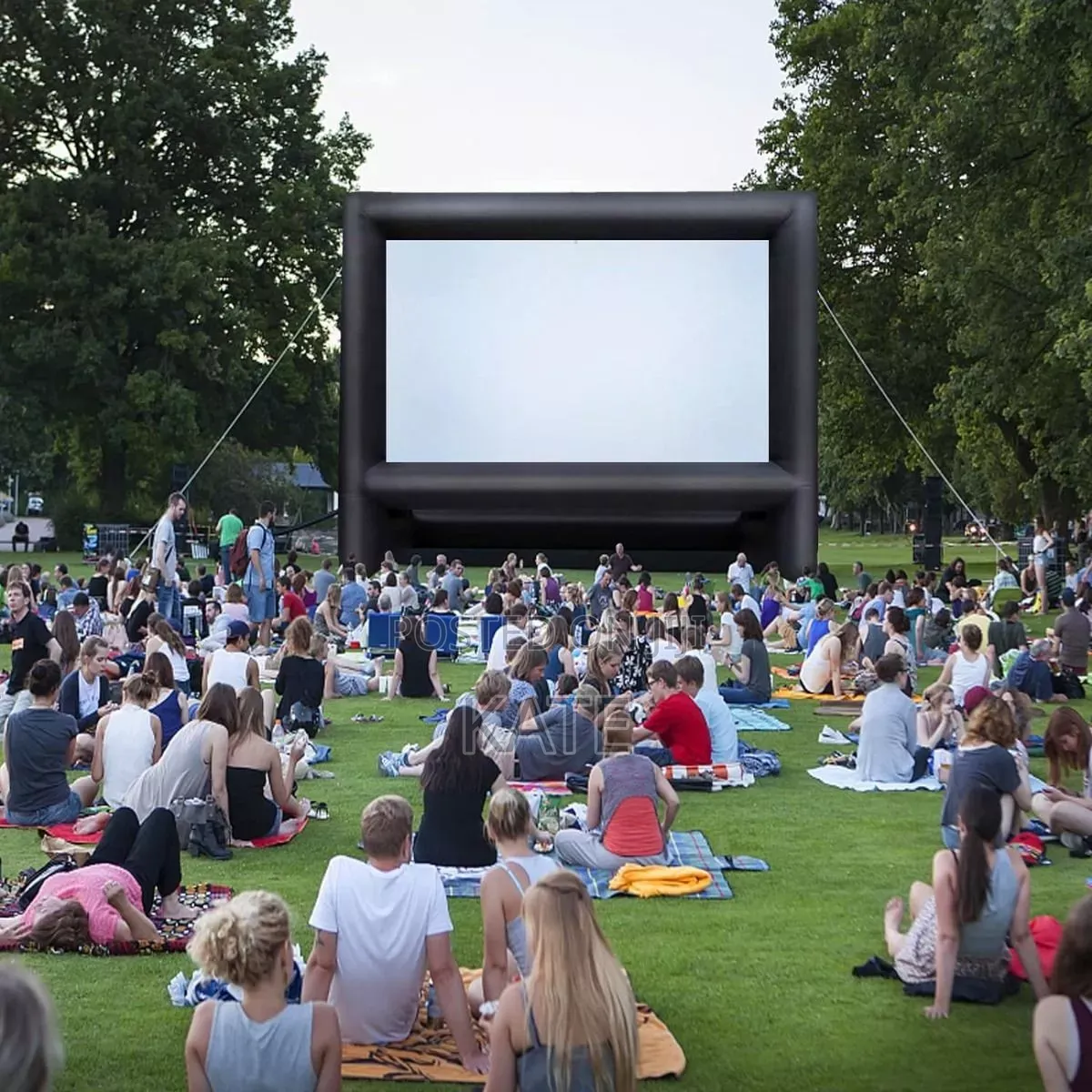 Inflatable Projector Screen