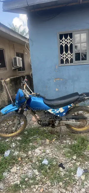 Kawasaki KLX 250 1997 Blue