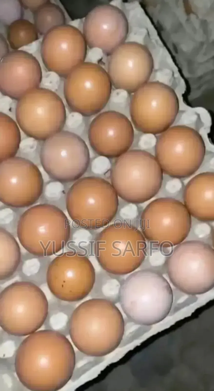 Eggs Business