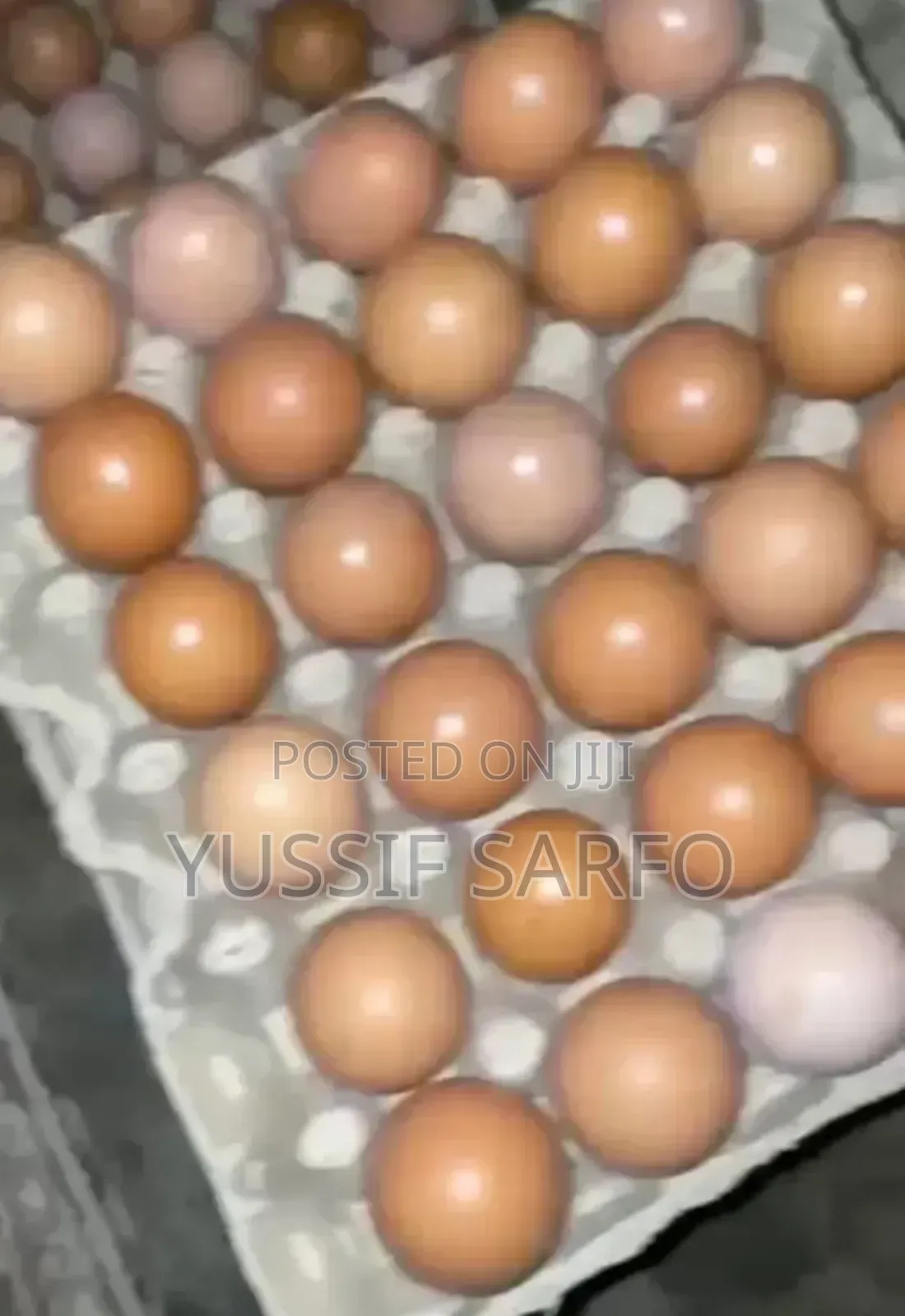 Eggs Business