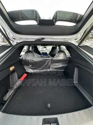 New Dongfeng Nammi 01 42.3 kWh 430 Max 2024 White