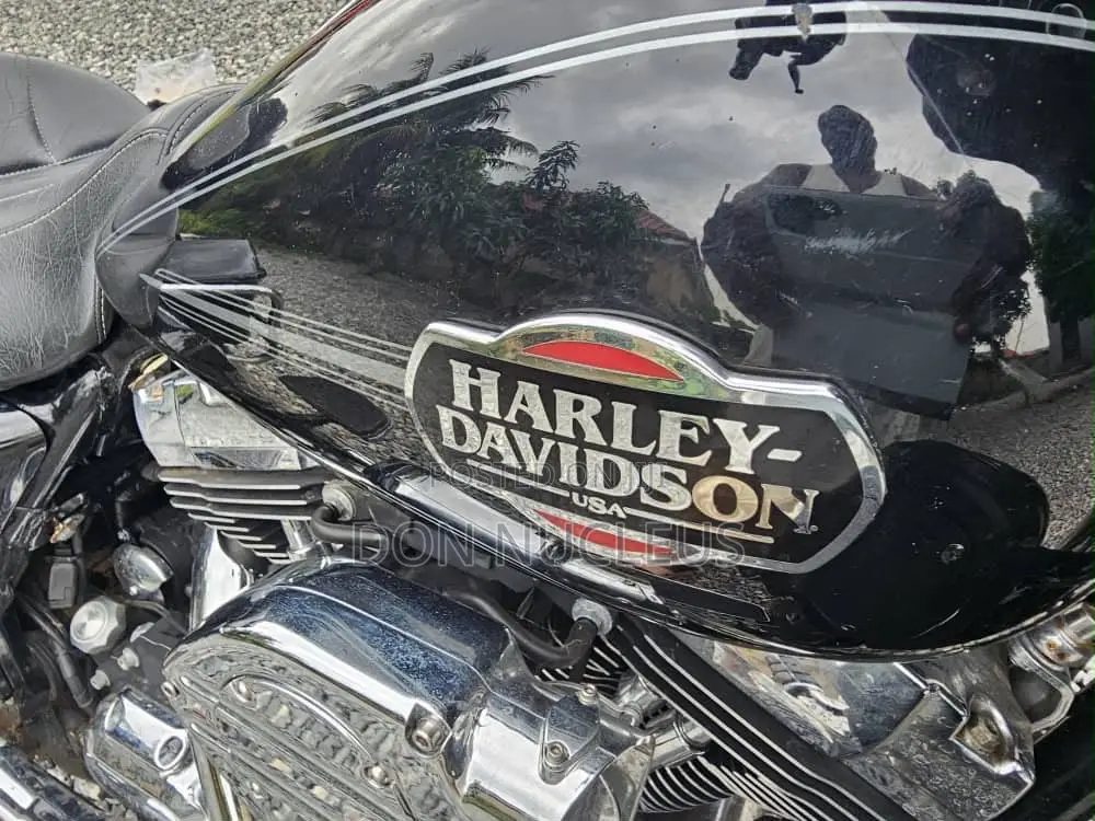 Harley-Davidson Touring 2010 Black