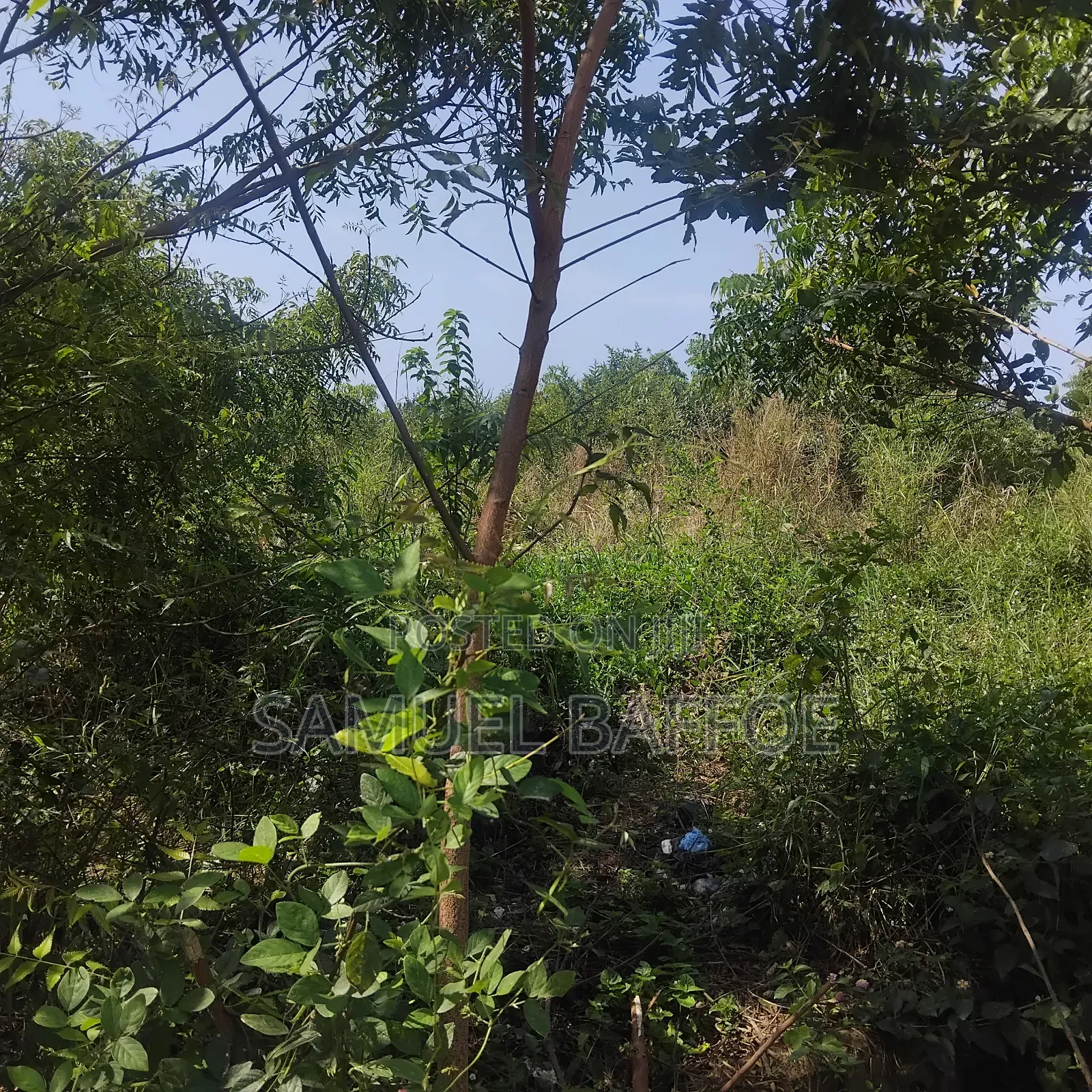 A Plot of Land
