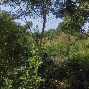 A Plot of Land