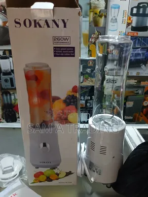 Mini Juice Blender