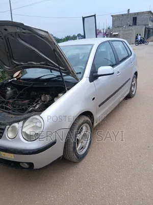 Volkswagen Polo 2002 Gray