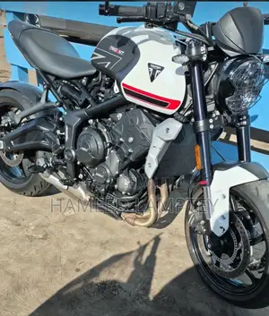Triumph 2024 White