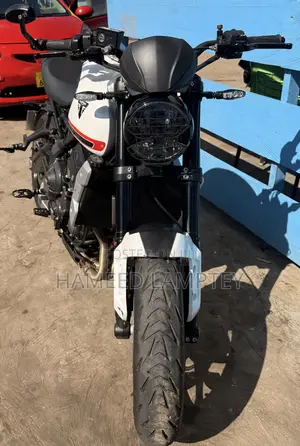 Triumph 2024 White