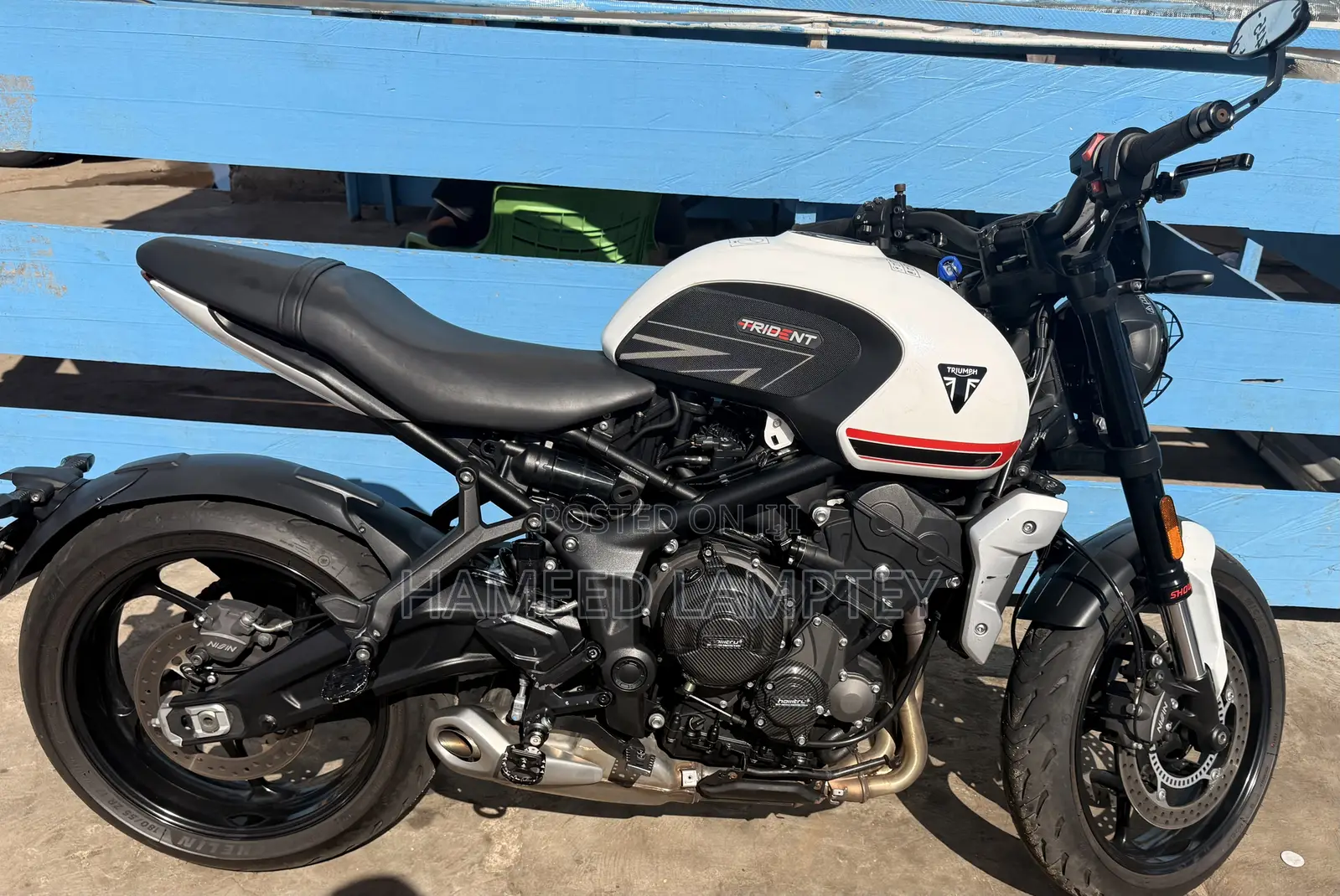 Triumph 2024 White