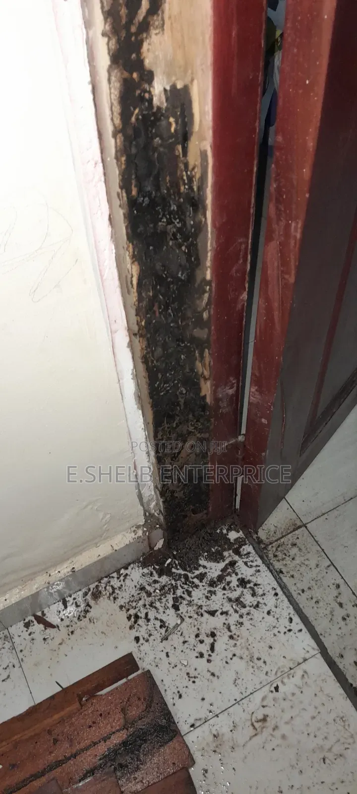 Fumigation,cleaning and Disinfection