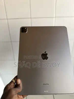 Apple iPad Pro (2022) 1 TB Gray