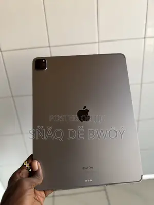 Apple iPad Pro (2022) 1 TB Gray