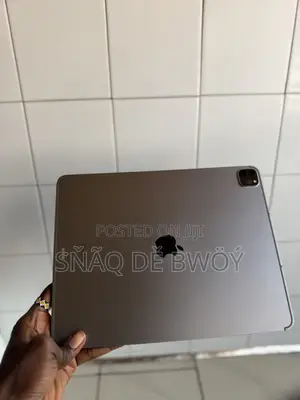 Apple iPad Pro (2022) 1 TB Gray