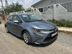 Toyota Corolla LE 2021 Gray