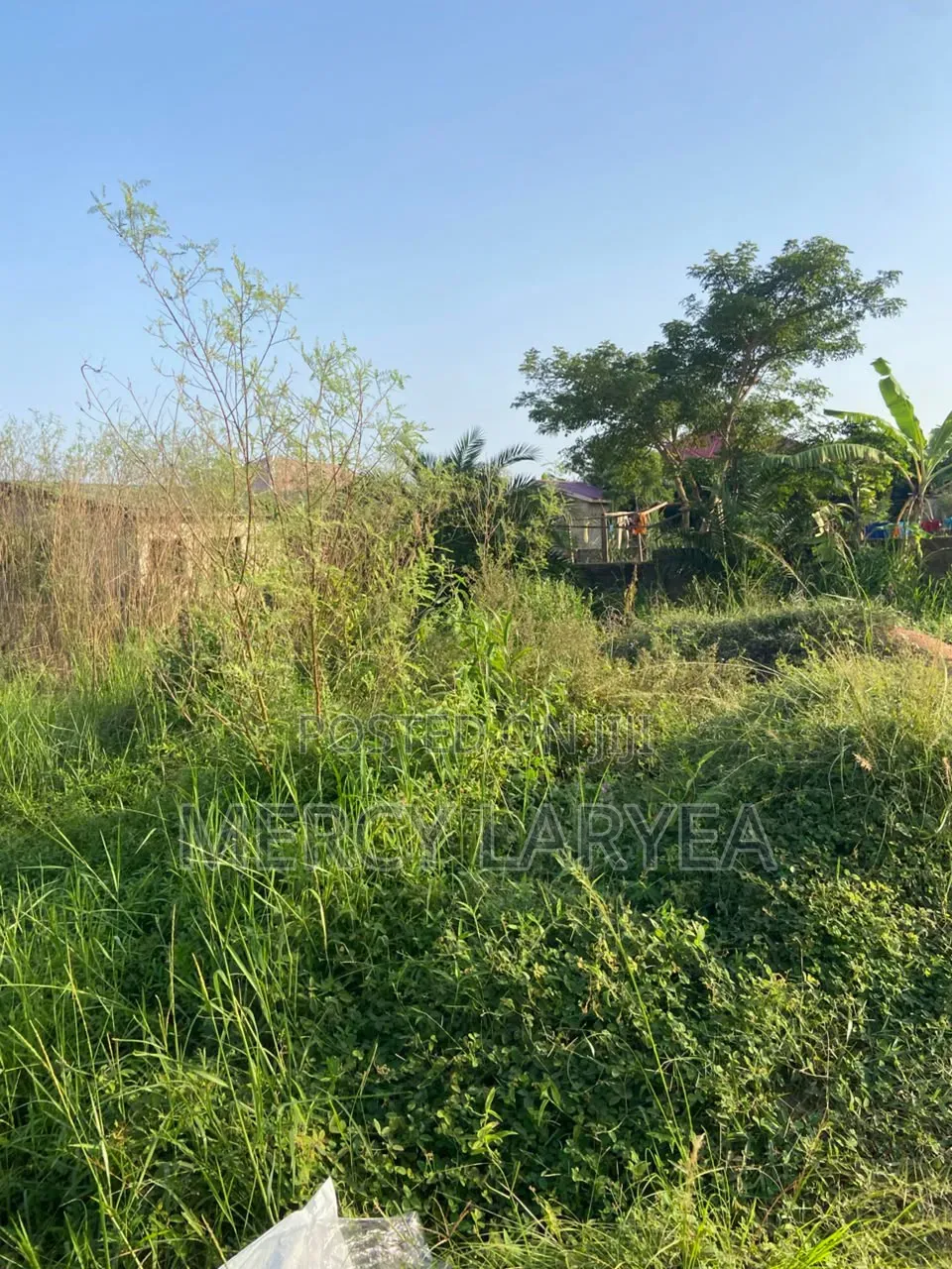 1 Plot for Sale 120000 and 1 Plot of Land With Single Room for 150000