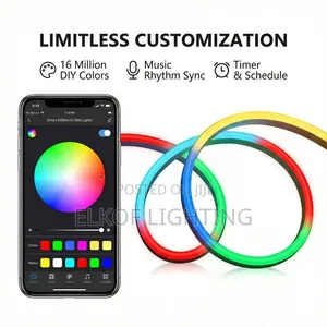 High Quality 10m Neon Strip Light