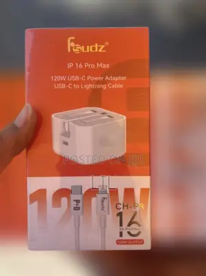 iPhone Charger