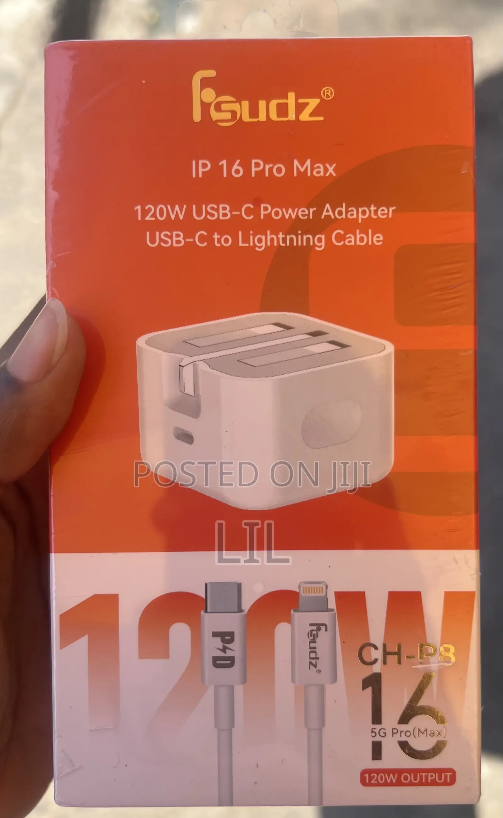 iPhone Charger