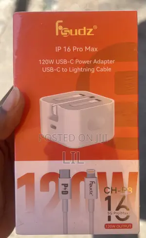 iPhone Charger