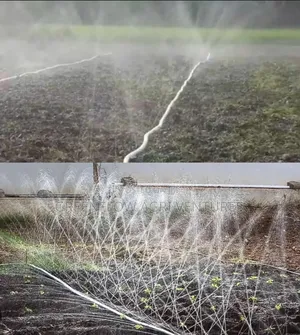 Rainhose/Spray Tube/Water for Me/Shower Tube