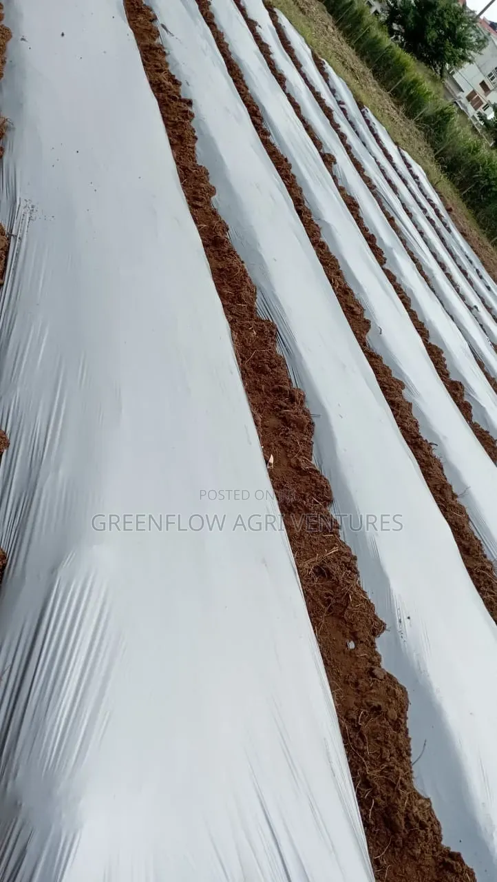 Plastic Mulch/Mulch Rubber