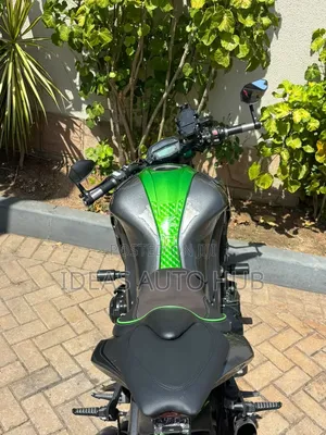 Kawasaki 2022 Gray