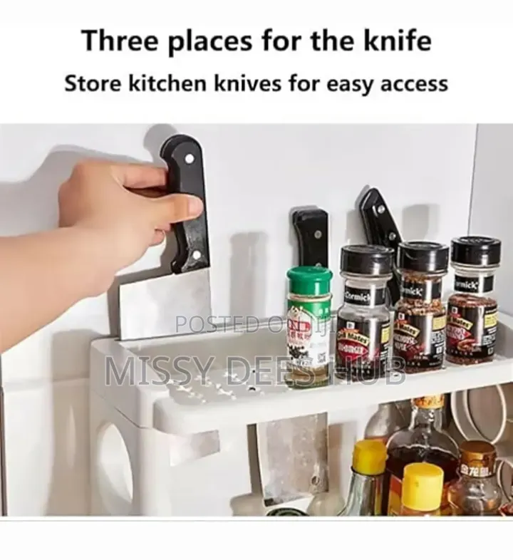 2 Layer Multifunctional Plastic Rack