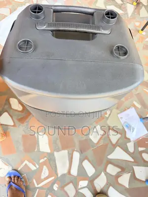 JLD 15" Professional Amplified Bluetooth PA Speaker(RECHARGEABLE)