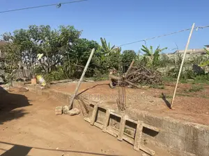Genuine Half Plot for Sale at Lashibi