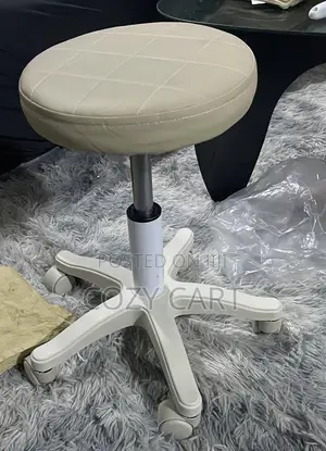 Adjustable Rolling Stool