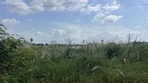 Lands for Sale