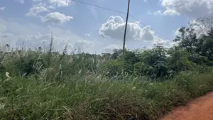 Lands for Sale