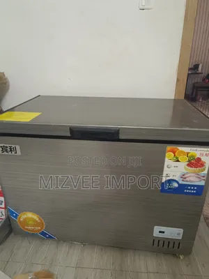 Chest Freezer 489L