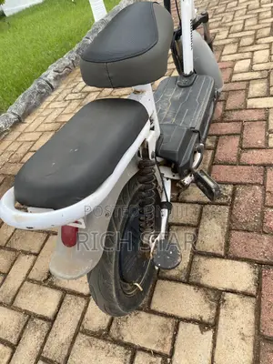 Roadmaster Delight 2022 White