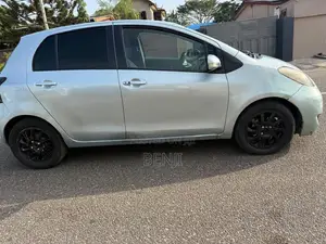 Toyota Vitz 2010 Gray