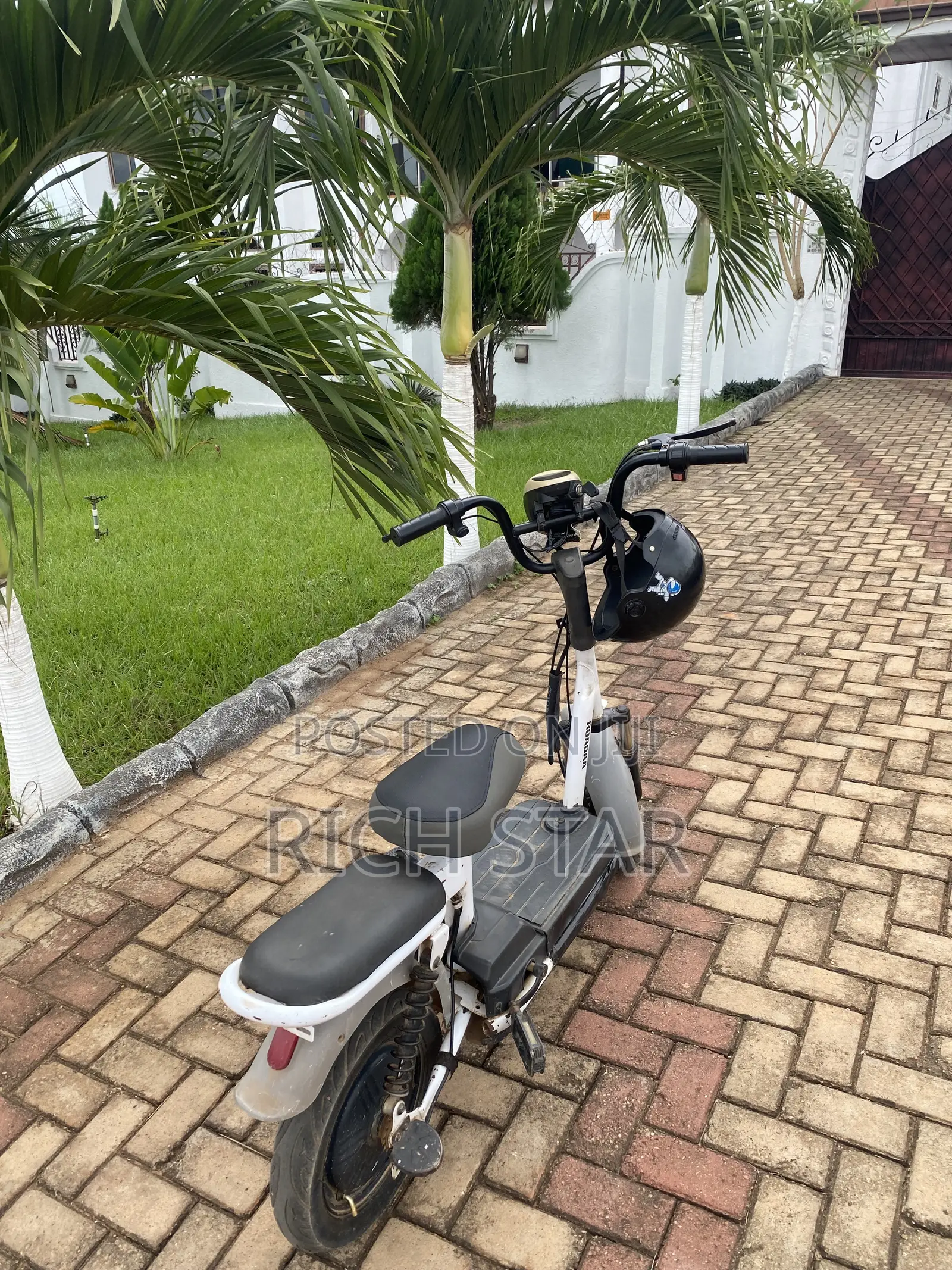Roadmaster Delight 2022 White